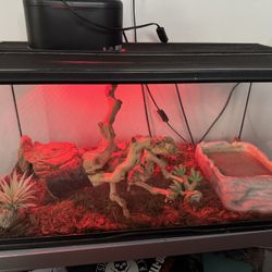 Reptile Fish Tank