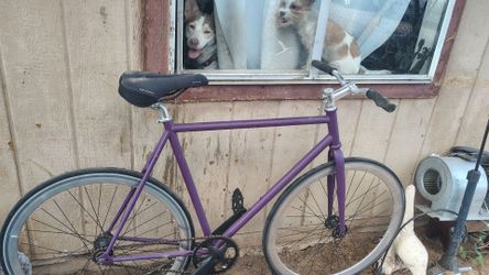 Purple Single Speed Fixed Gear Bicycle