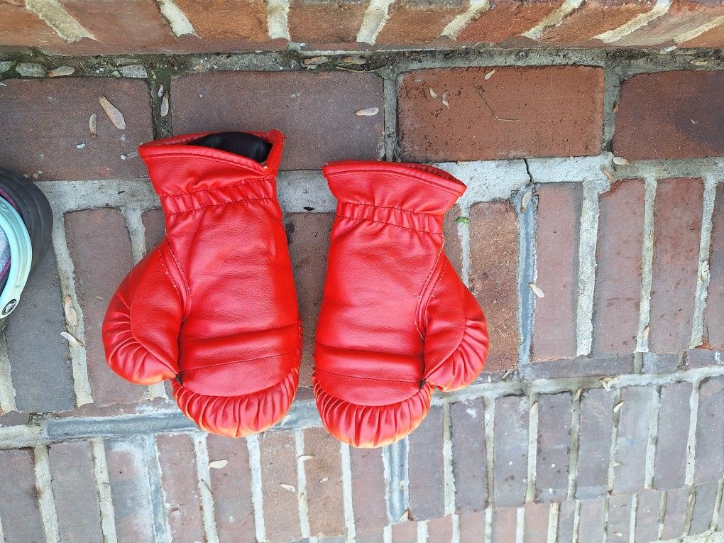 Boxing And Muay Tai Gloves
