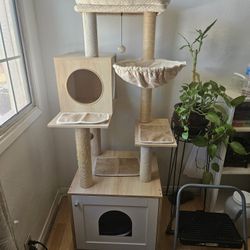 Modern Cat Tower And  Litter Storage