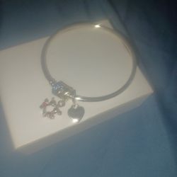 Pandora Bracelet 