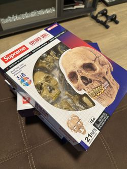 Supreme 4d Human Skull 