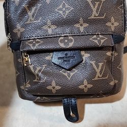 Louis Vuitton Mini Palm Bag! Authentic 