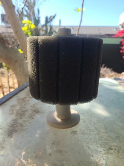 Sponge Filters