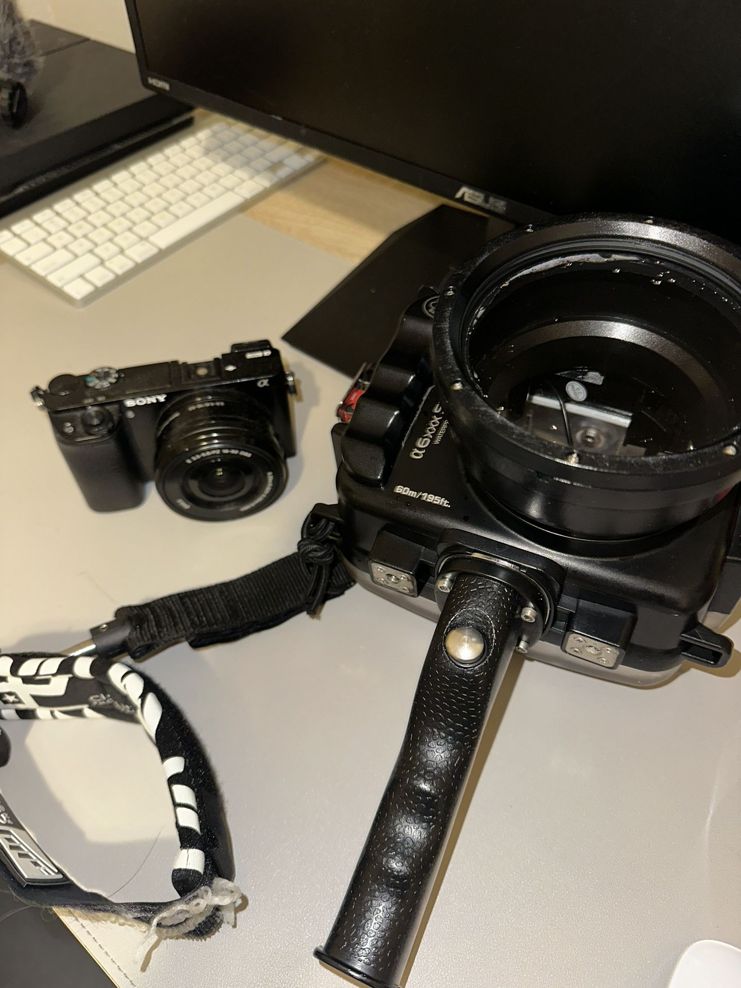 Sony A6000 with Underwater Housing