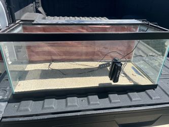 Fish aquarium 20g