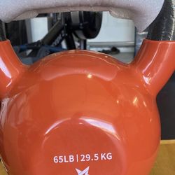 Neil 65 pound kettle bell