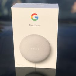 Untouched Google Nest Mini