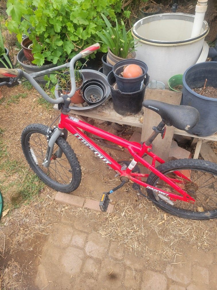 20" Bmx Bike