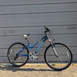 Giant Boulder SE Small Women's Hybrid Bike