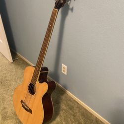 Acoustic Bass Guitar 