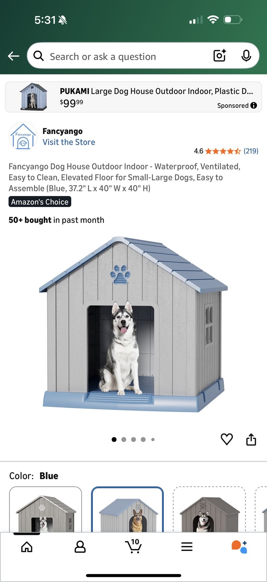 Outdoor Dog House