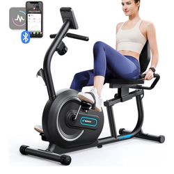 MERACH Recumbent Exercise Bike
