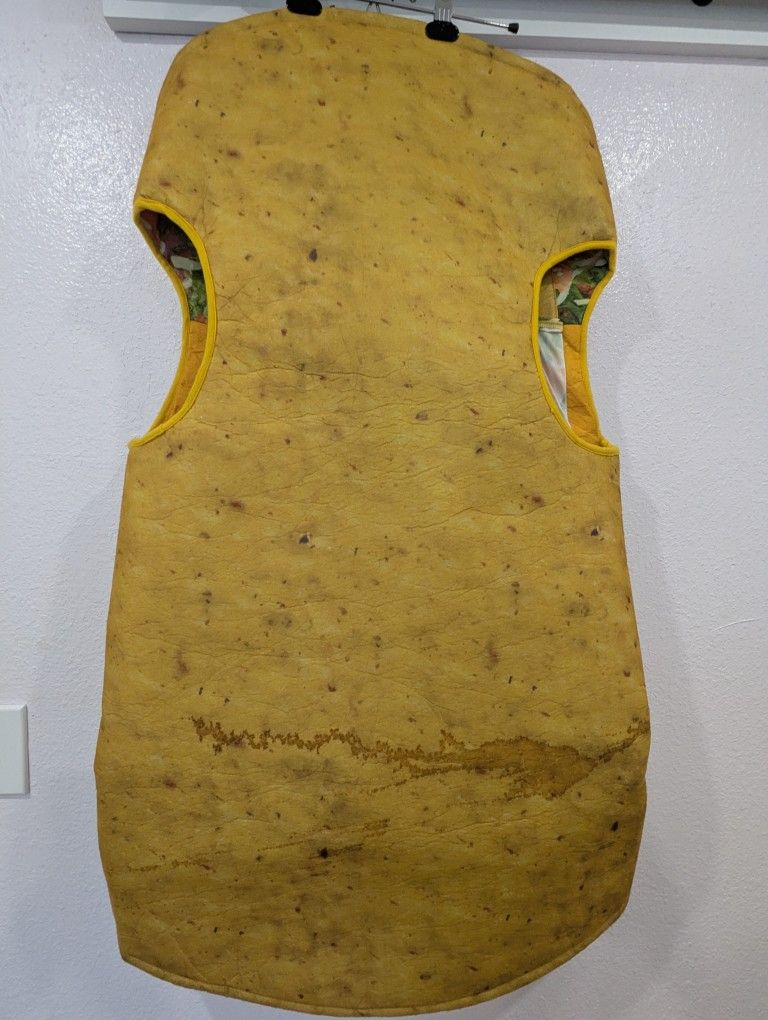  2 Taco Costumes