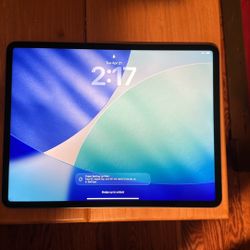 iPad Pro 5th Gen 13" Wi-Fi