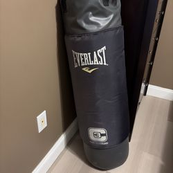Everlast Punching Bag