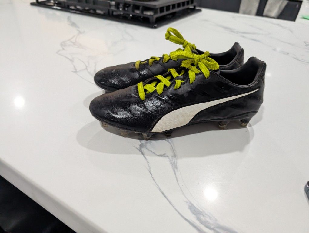 Puma King Size 8.5