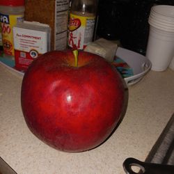 EX EX LARG LEATHER APPLE 5 FINAL PRICE LOOK MY POST TONS ITEM