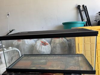 Reptile Tank