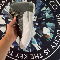 Air Jordan 12 Retro 