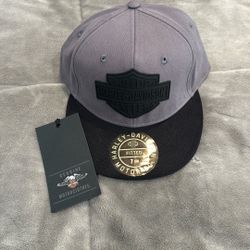 Harley Davidson  Cap 