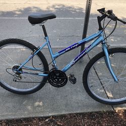Roadmaster Mt. Fury