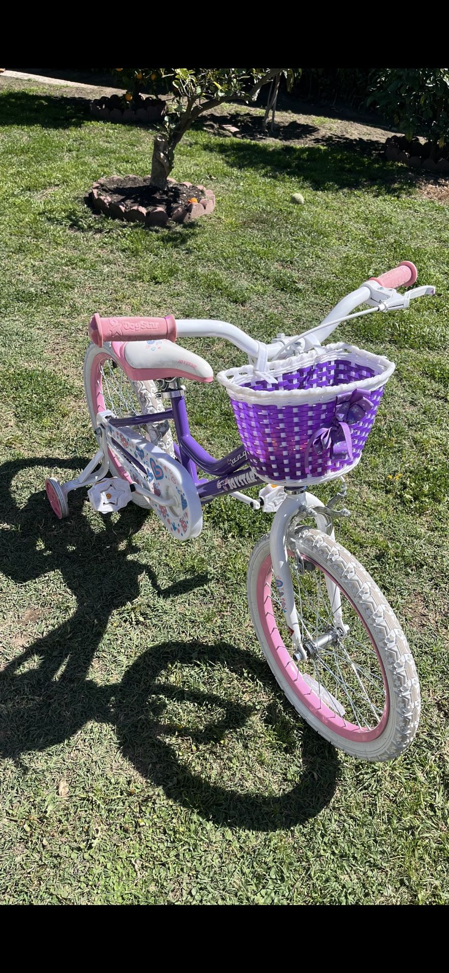 Girl Bike