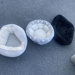 Pet Beds $10 Each