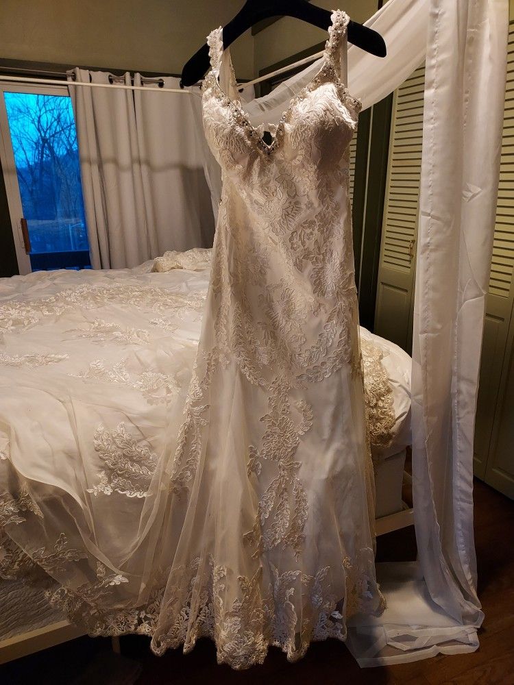 Wedding Dress: Holy Pearl by Diamond Couture Bridal