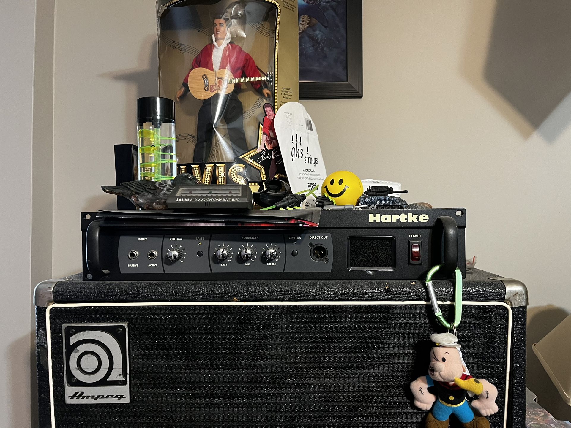 Bass Amp ( Professional Grade )