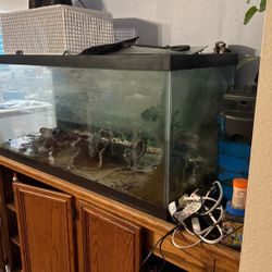Aquarium, With lamps, Filter, Cage