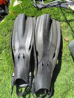 Oceanic viper fins