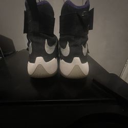 LeBron 10 Soldiers Court Purple 