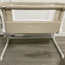 Baby delight bassist