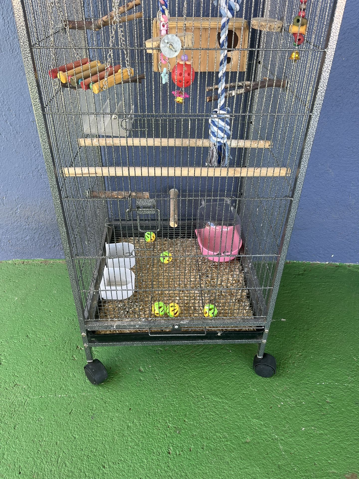 Bird Cage Attachments Included!$60