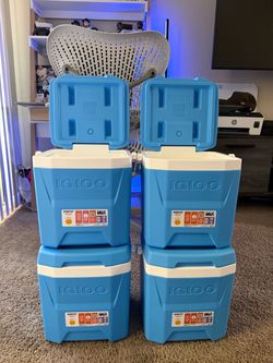 Igloo Cool 12 Coolers – brand new