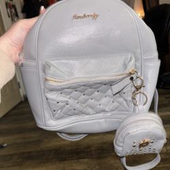 Back Pack Purse