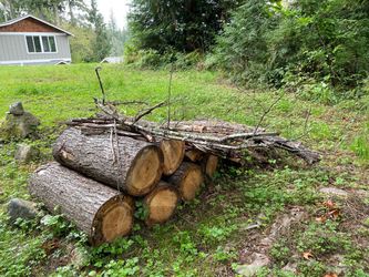 Free FirewoodFree firewood