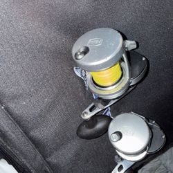 Fishing Reel Penn Fathoms And Shimano Trinidad