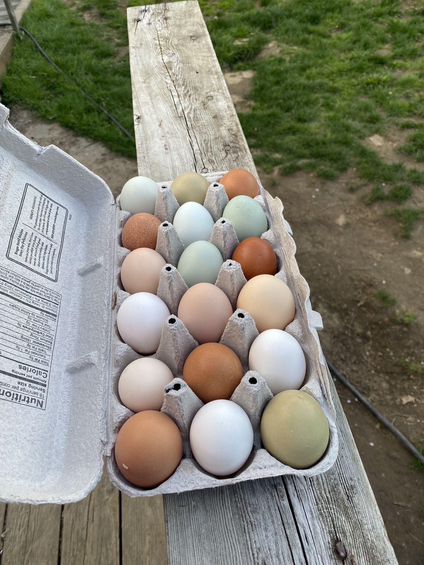 Farm Fresh Chicken Eggs