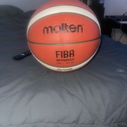 Molten Professional Basketball