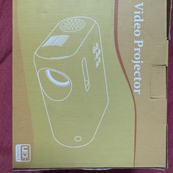 Video projector 