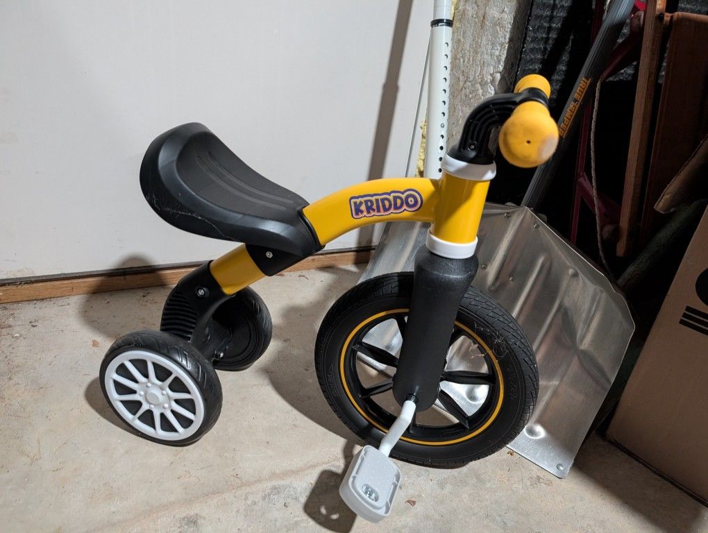 Toddler Bike