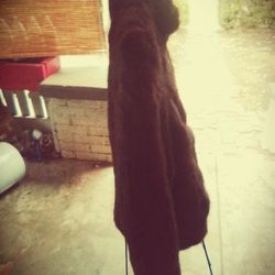Brown bear fur Coat