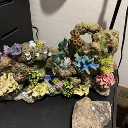 Aquarium rocks & bubbler