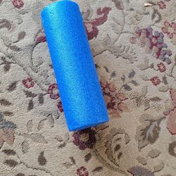 Proform Foam Roller..