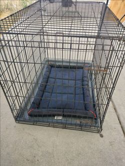 Extra large cage for dogs