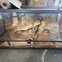 Reptile Enclosures 