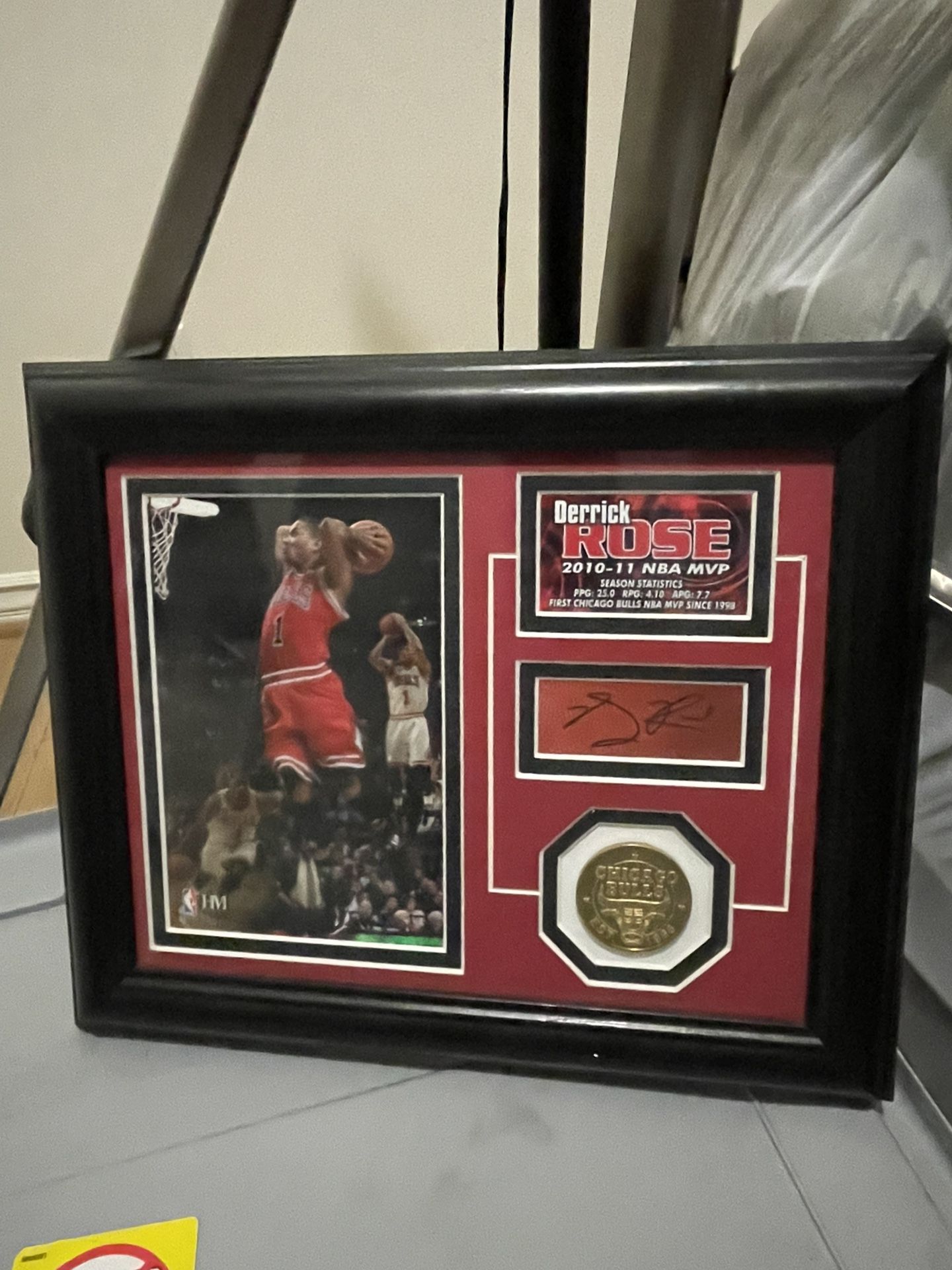 Derrick Rose NBA Certified Limited Edition Autographed Season Stats