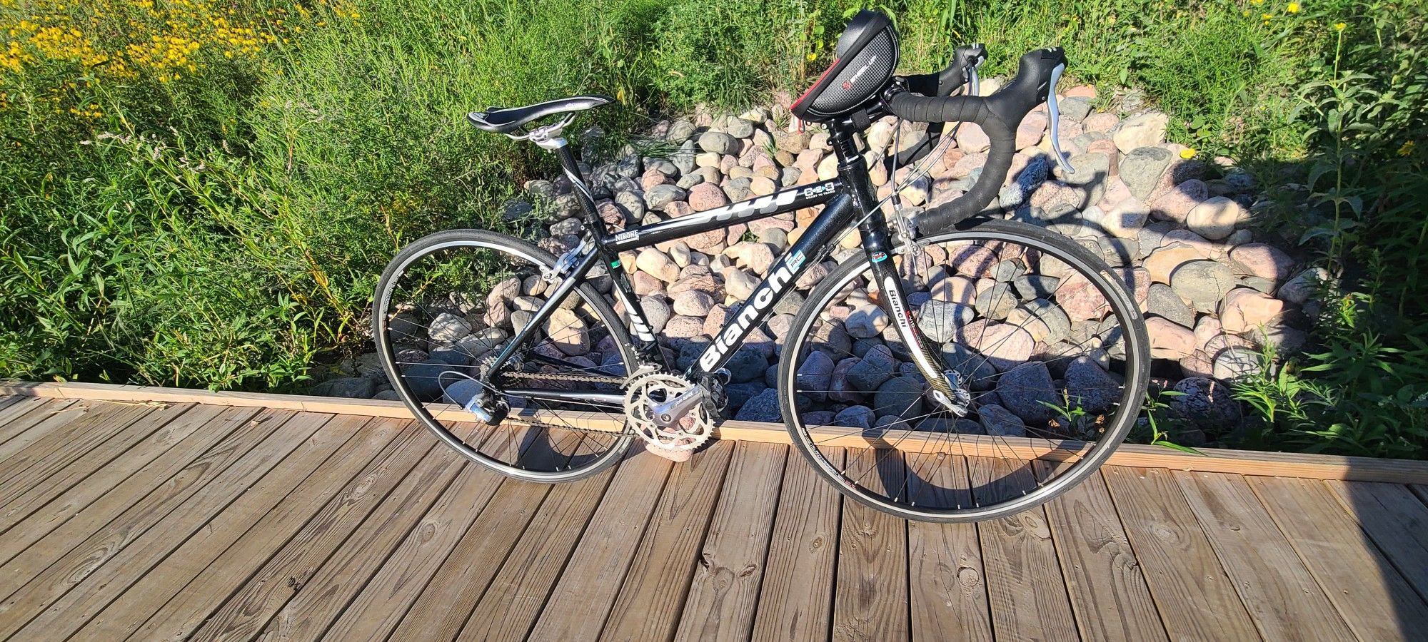 Bianchi Coast To Coast - www.rajagirimanappuram.com